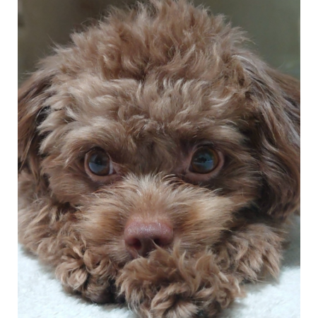 C213a737 960c 473b 94e6 0c5ca84ae1d3 s