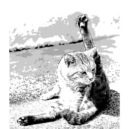 A1726550 ab54 42d3 bae7 1d25d564b472 s