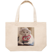 27b0d2ec d77c 4a9b 961d 1c2598f83e98 53 print s