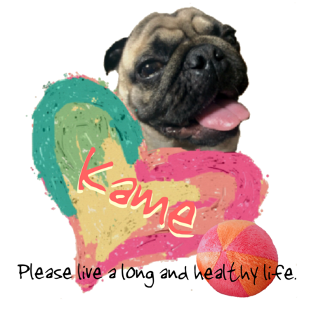 C48626d8 aa4f 45e9 9539 06cad2666e29 s