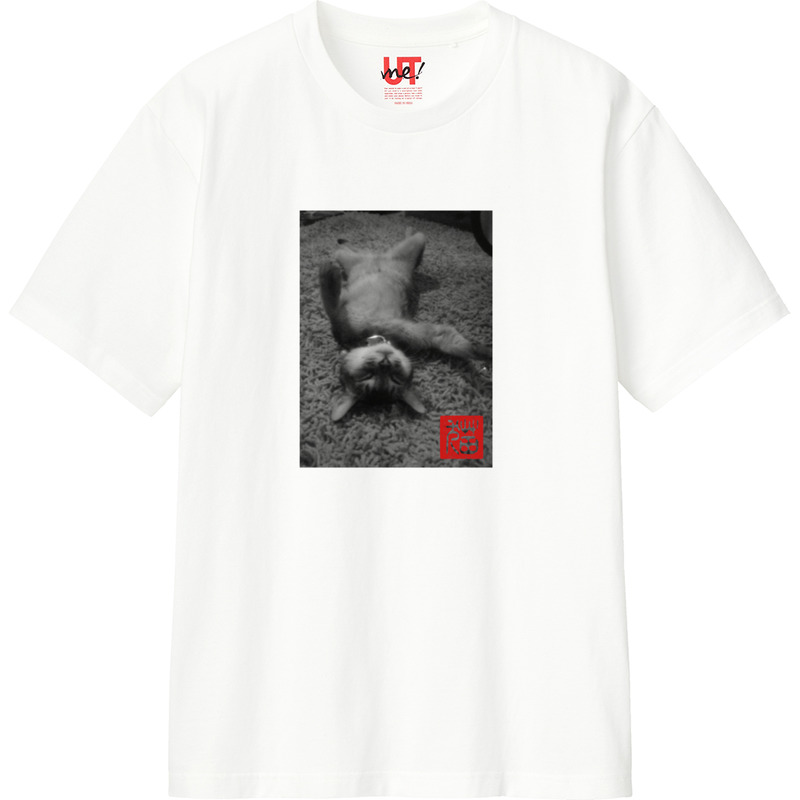 6c3d25b3 f0d7 4353 8d35 57d67081b533 110 print ll