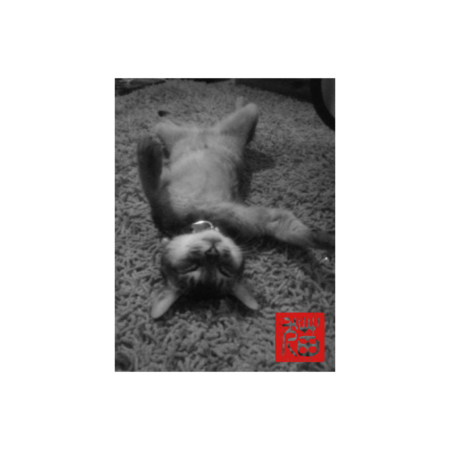 6c3d25b3 f0d7 4353 8d35 57d67081b533 s