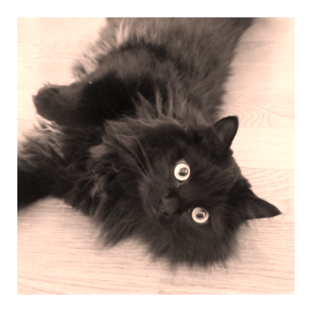 4e3a8c0e 087f 4832 8981 a3aca57f5811 s