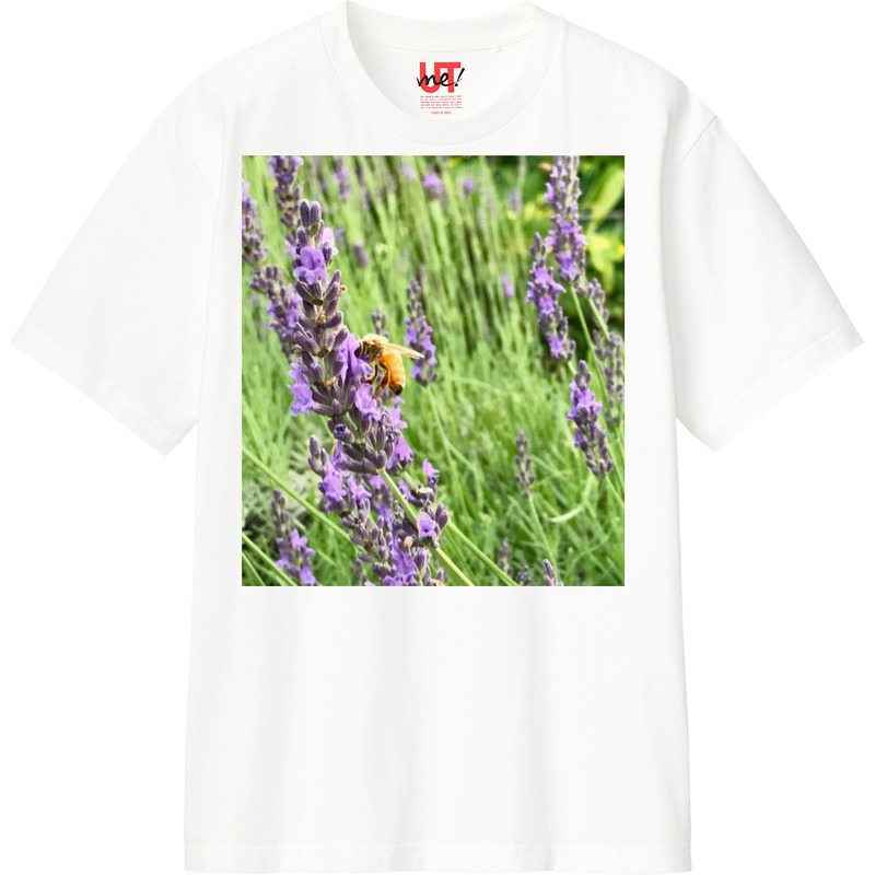 C5c7fa1a b1f7 4720 aaaa dc3bede9aba1 110 print ll