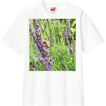 C5c7fa1a b1f7 4720 aaaa dc3bede9aba1 110 print s