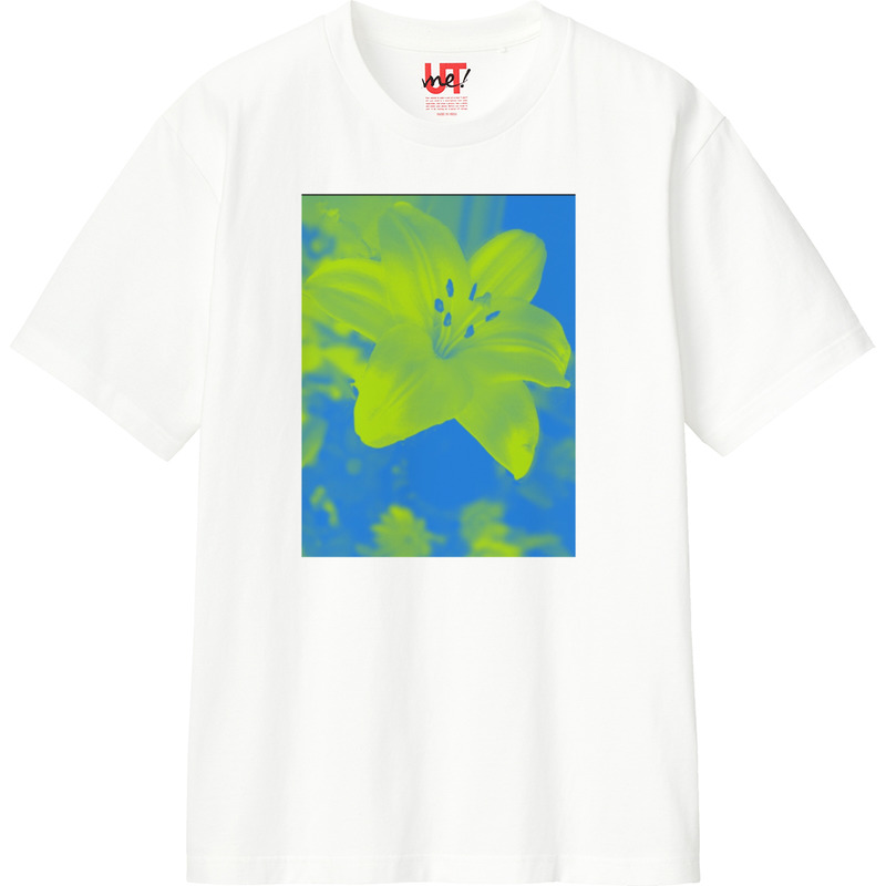 4b79572e 75bd 4886 9c96 4f500629a824 110 print ll