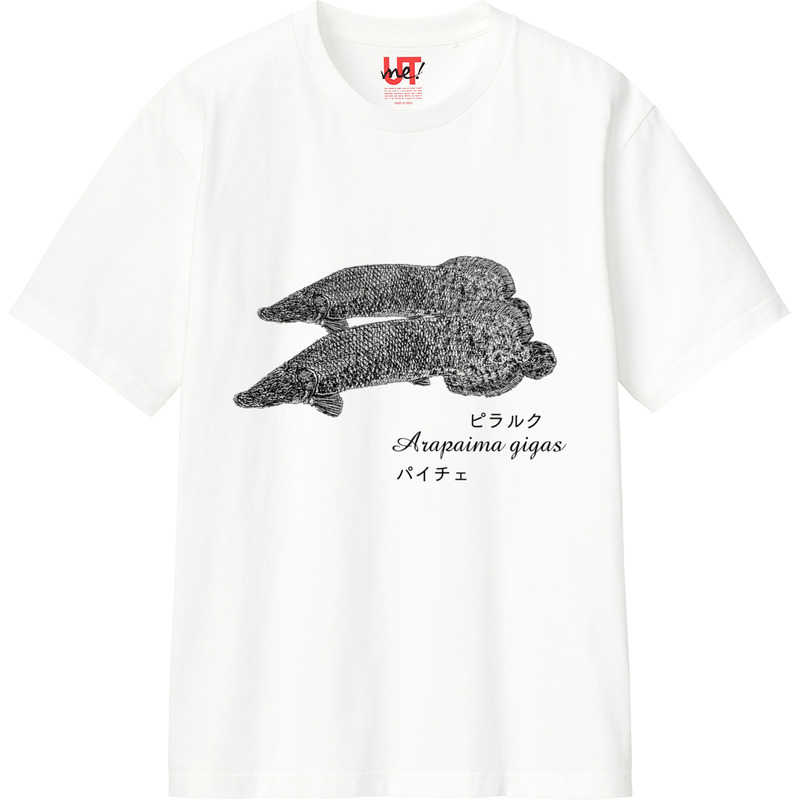 39107e9f 57fc 499f 8cad 33291fedb673 110 print ll