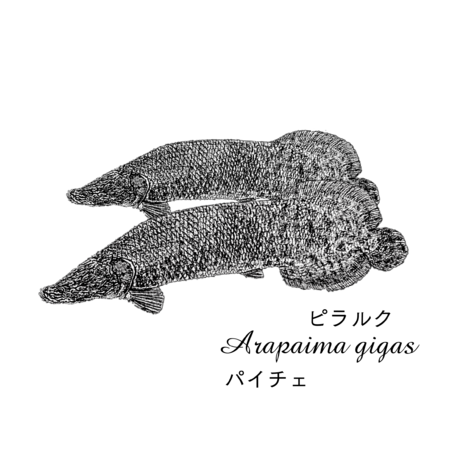 39107e9f 57fc 499f 8cad 33291fedb673 s