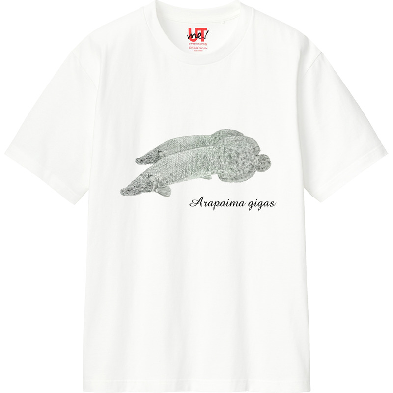 425d19eb 2e17 4e23 b513 6d0966615d76 110 print ll