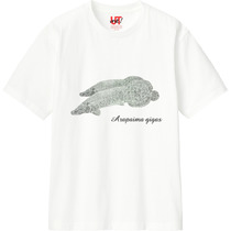 425d19eb 2e17 4e23 b513 6d0966615d76 110 print s