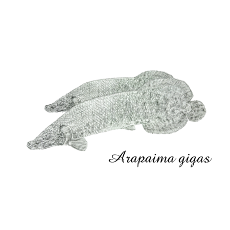 425d19eb 2e17 4e23 b513 6d0966615d76 s