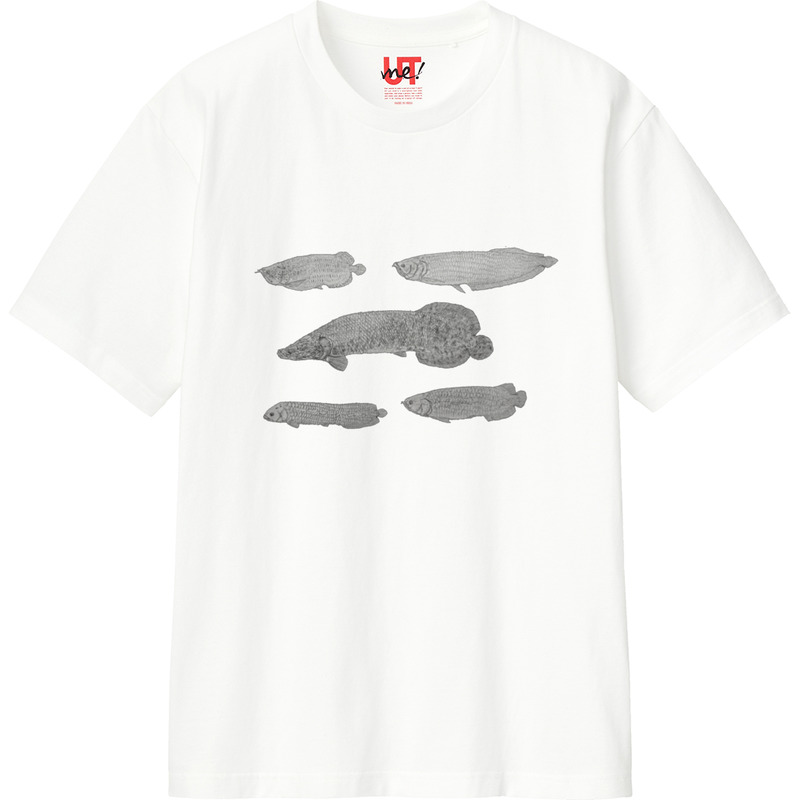 Eed51802 e3d7 4c94 a1c6 487a7e0fc834 110 print ll