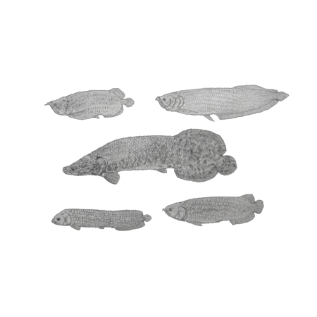 Eed51802 e3d7 4c94 a1c6 487a7e0fc834 s