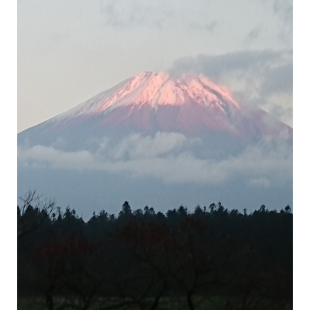 5191ed66 c8a9 4dd6 aac3 3eb59a18dcf0 s