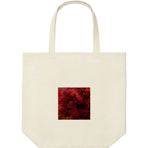 3bacb5bc b887 4c2a b89e 8b91464f99d2 9 print s