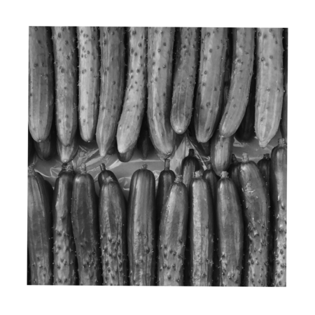 9c8bad4f 6767 4ea3 b702 344b3257e611 s