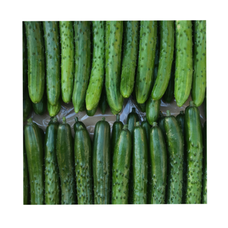 F3d43af2 a8a6 4b6f a4a2 525ed5472276 s