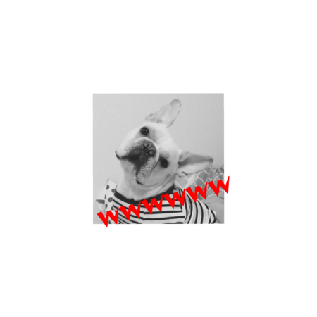 Aa610ba1 9404 4d73 844d 663d2db7a395 s