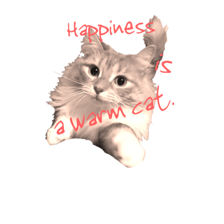 778f88a0 4a49 40ba b363 de22ca73be00 s