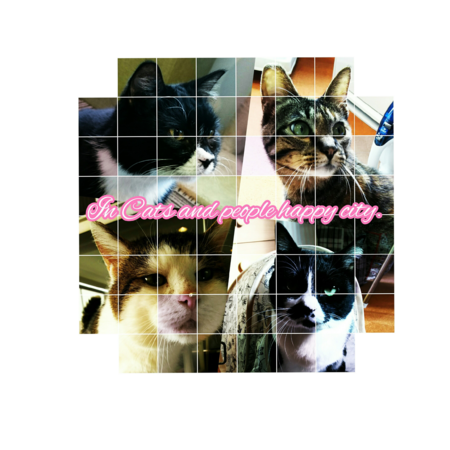 9a12f695 0789 4b18 b187 07647836adc6 s