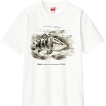 79139adf ebbb 48dc 895d 0d3b1ffed674 110 print s