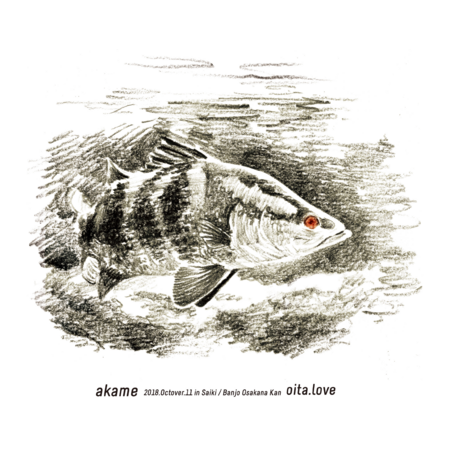 79139adf ebbb 48dc 895d 0d3b1ffed674 s