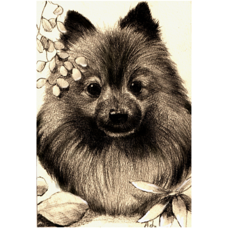 D31ede1f 8ceb 4e25 a808 556eeee4b21f s