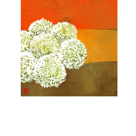 4e2b345d 82f7 4c37 8ba1 f0896f493a35 s