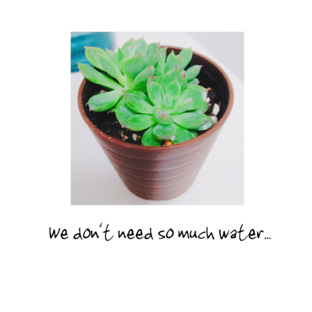 979f38a1 58aa 4793 9331 b752a0327925 s