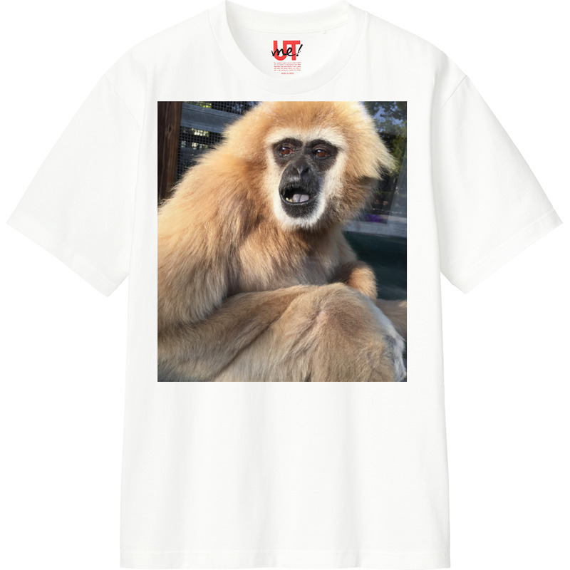 7d342918 a889 4484 9166 a39031a276ac 110 print ll