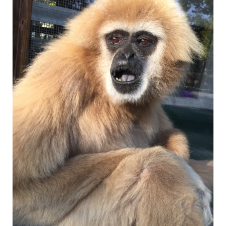 7d342918 a889 4484 9166 a39031a276ac s