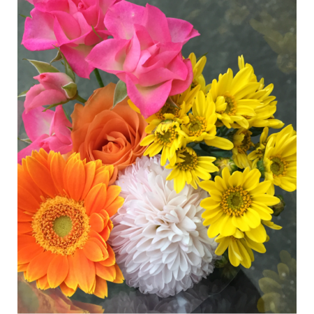 44b53536 ce25 4729 a4b4 2a306c51ef74 s