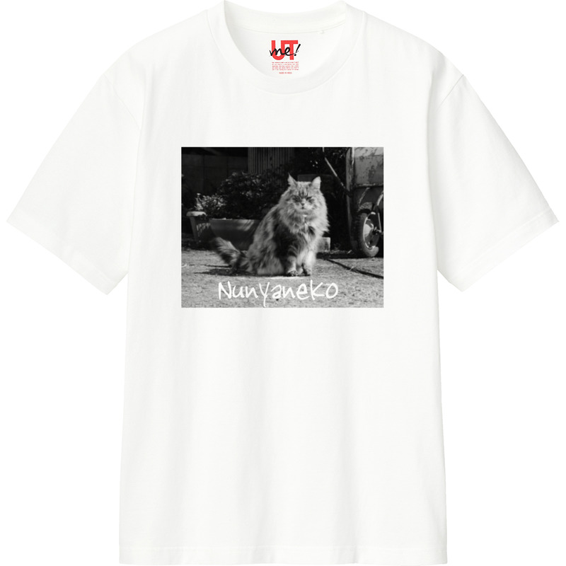 2087378f f0db 43e9 865d 0ec843f0e081 110 print ll