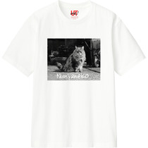 2087378f f0db 43e9 865d 0ec843f0e081 110 print s