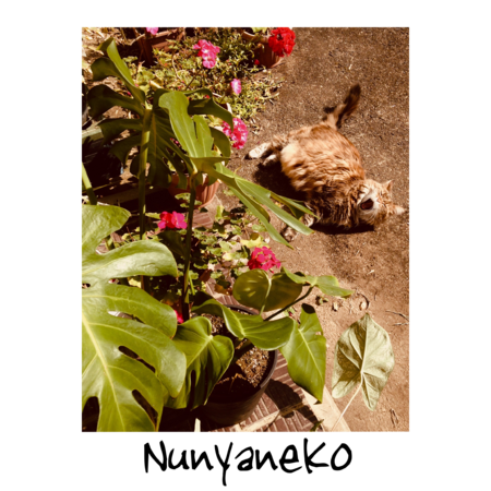 5004dfa0 0531 41ed 9834 3442ff853306 s