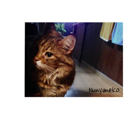 E20fd4e8 6621 4e10 8853 2d3f67fd45cc s