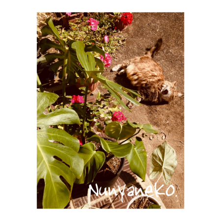 03604d75 b005 4ad6 99c4 aae290a5bc97 s