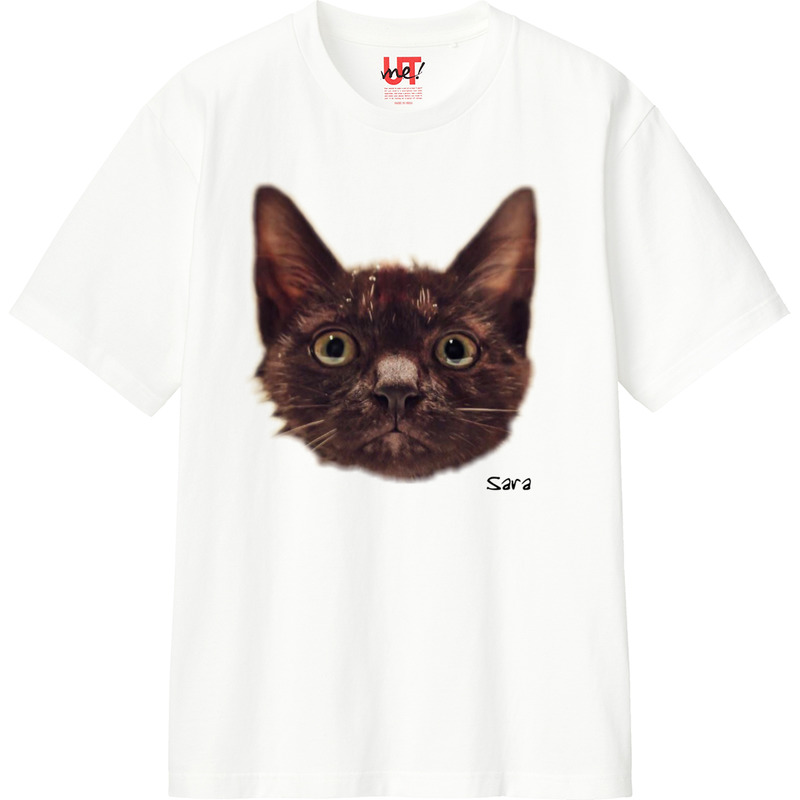 5f3c6527 5127 46ca 925a e4f204aed086 110 print ll