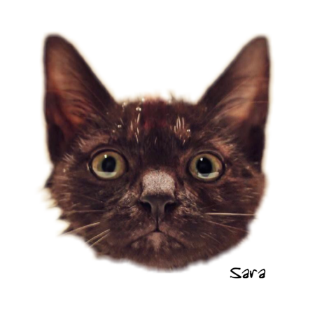 5f3c6527 5127 46ca 925a e4f204aed086 s