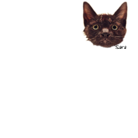 95579cf9 b89b 4d00 a61a acacadea574a s