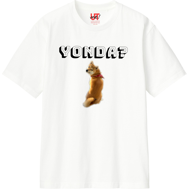 89d65a08 26fb 4030 99be d0b34db0bb38 110 print ll