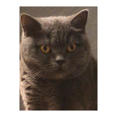 C33c623b 4609 45aa 9d46 d28e3b7e976e s