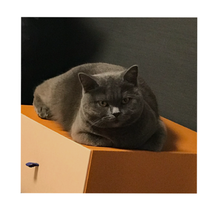 0871b82f ee65 49e0 98b9 abdd90c1bb0f s