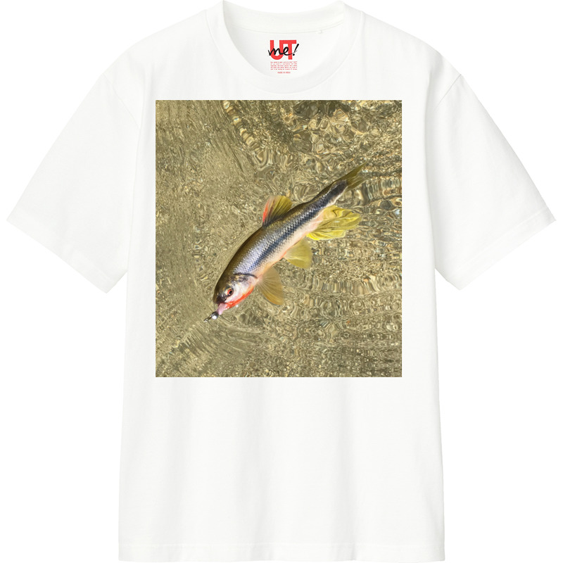 B33ed271 b1e9 4dbf 9d1f 2ee3c3b144a8 110 print ll