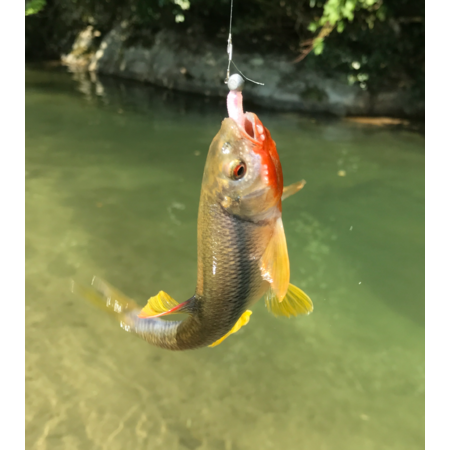 15017359 57bb 4c38 98f9 8c575eb94706 s