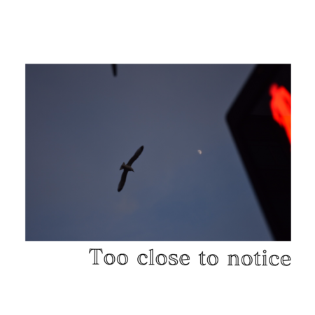 43bac701 bb38 4cf7 8c0c bfe5fb7cf802 s