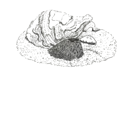 03abf34c 7b13 4ea4 a788 8fbc47420e9e s