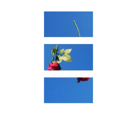 71ead10d dce6 4ed5 9bf0 5549a2a335cd s