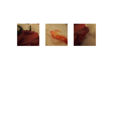 F23fb1a2 9a24 4576 adfa a44533657ec5 s