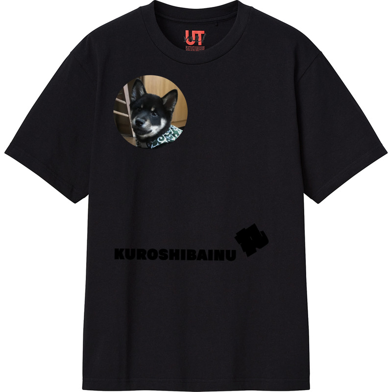 F6d8ffe5 6e1d 42e9 bd66 f8ef619ecbc1 111 print ll